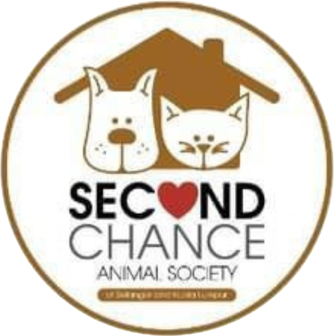 271807919_226784482978780_6479775621255372243_n