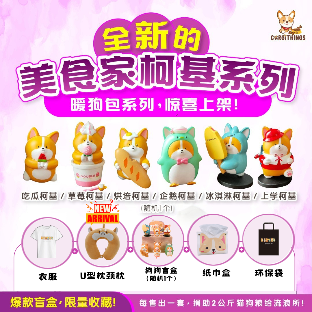 CORGITHINGS ADS - 29012026 POSTER 002.jpg