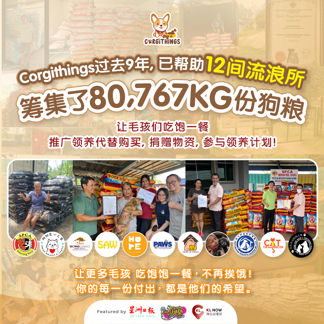 CORGITHINGS ADS - 21052026 POSTER 001.jpg