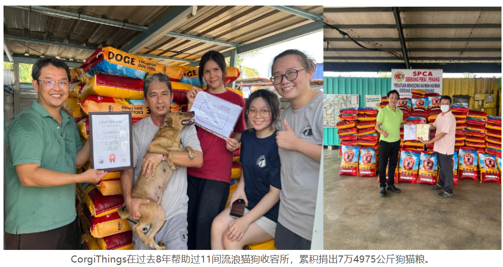 Sin Chew social media 4