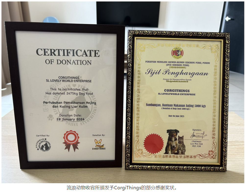 Sin Chew social media 6