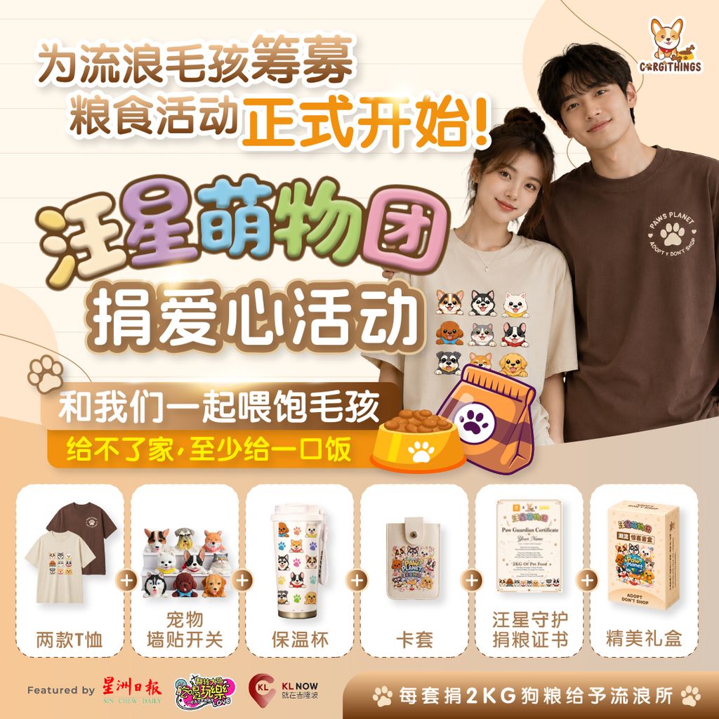 CORGITHINGS ADS - 19052026 POSTER 002.jpg (2)