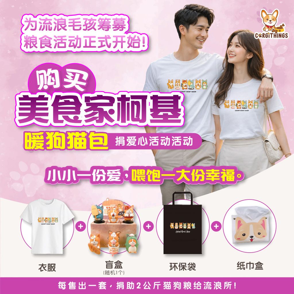 CORGITHINGS ADS - 29012026 POSTER 001.jpg