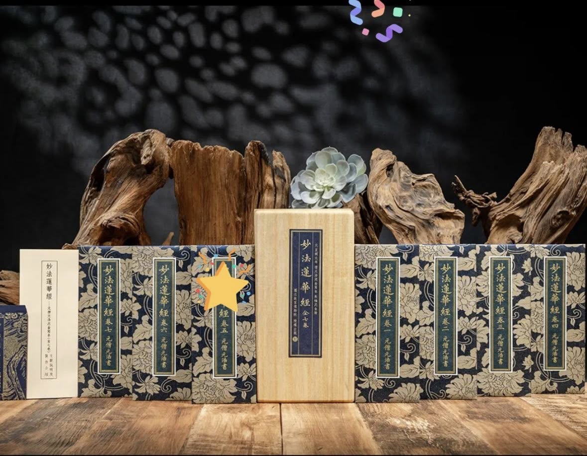 【世樺經典・全新啟航】