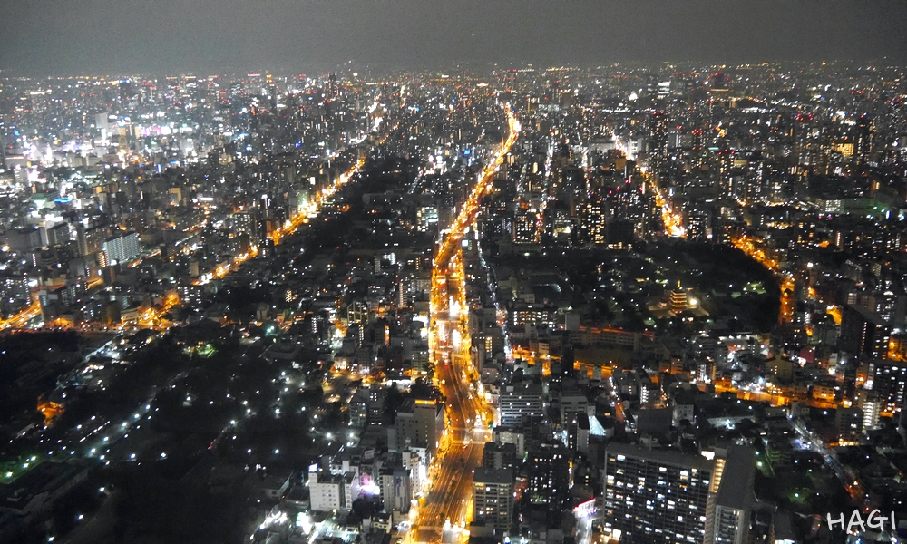 夜色迷人星光燦爛 11個熱門大阪夜景重點整理 台湾で働きたい日本人への就職サポート 株式会社萩