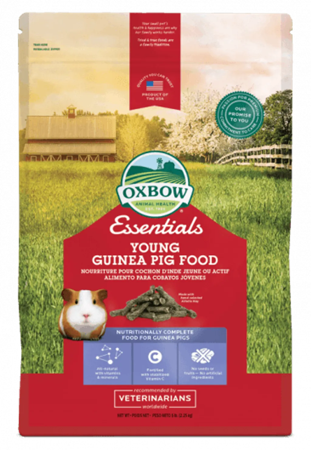 NEW_Essentials_Young_Guinea_Pig_366_529_s.png