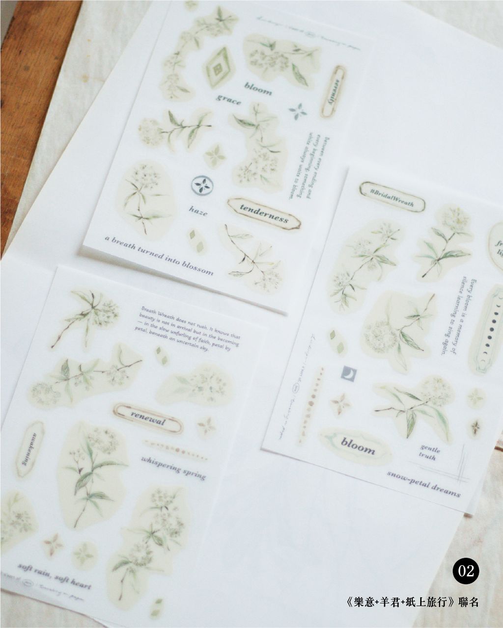 11月採光者色見本1080x1350-14