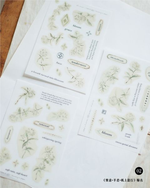 11月採光者色見本1080x1350-14