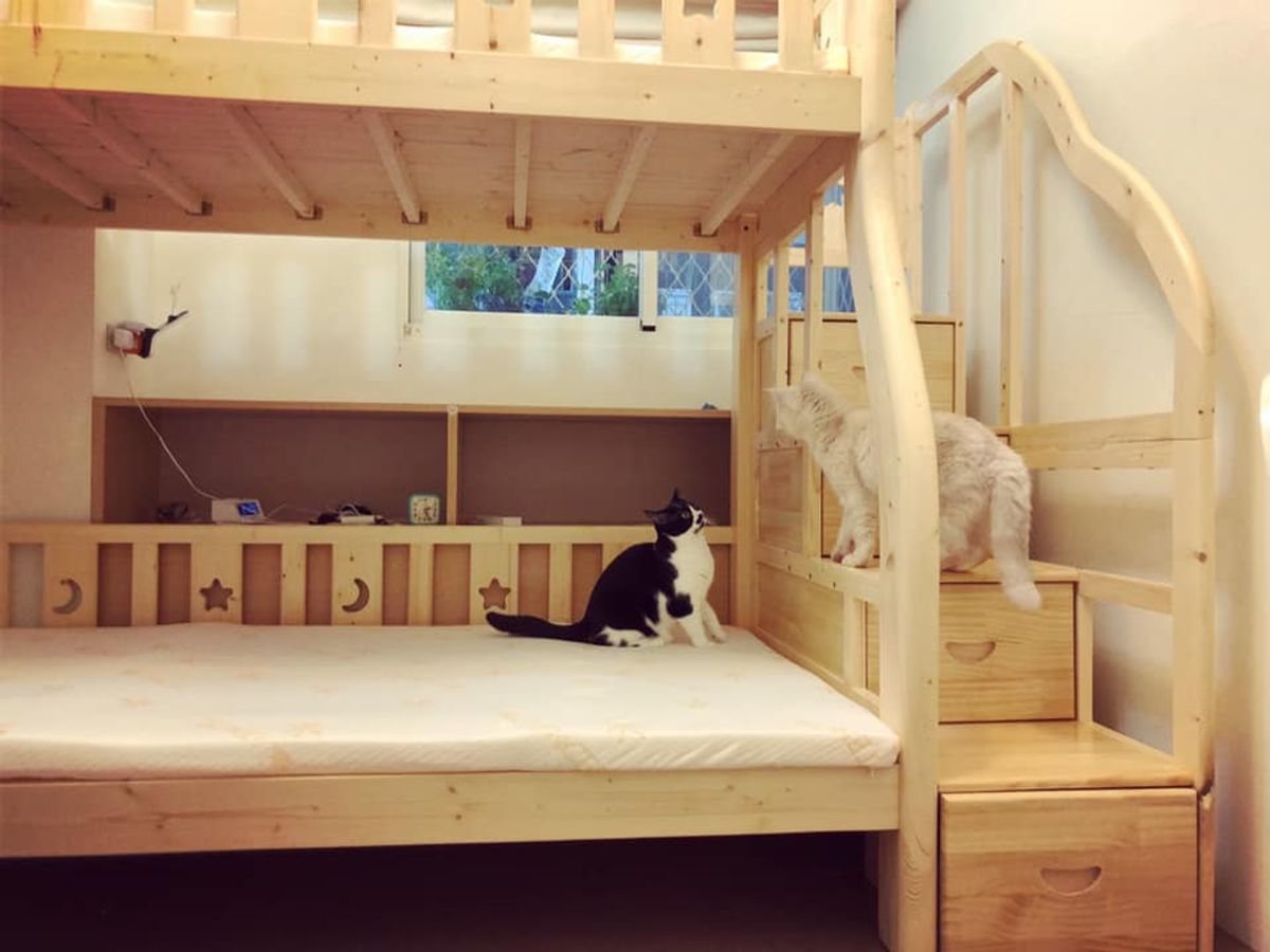 部落格 Ha Babybed 部落格 Ha Babybed