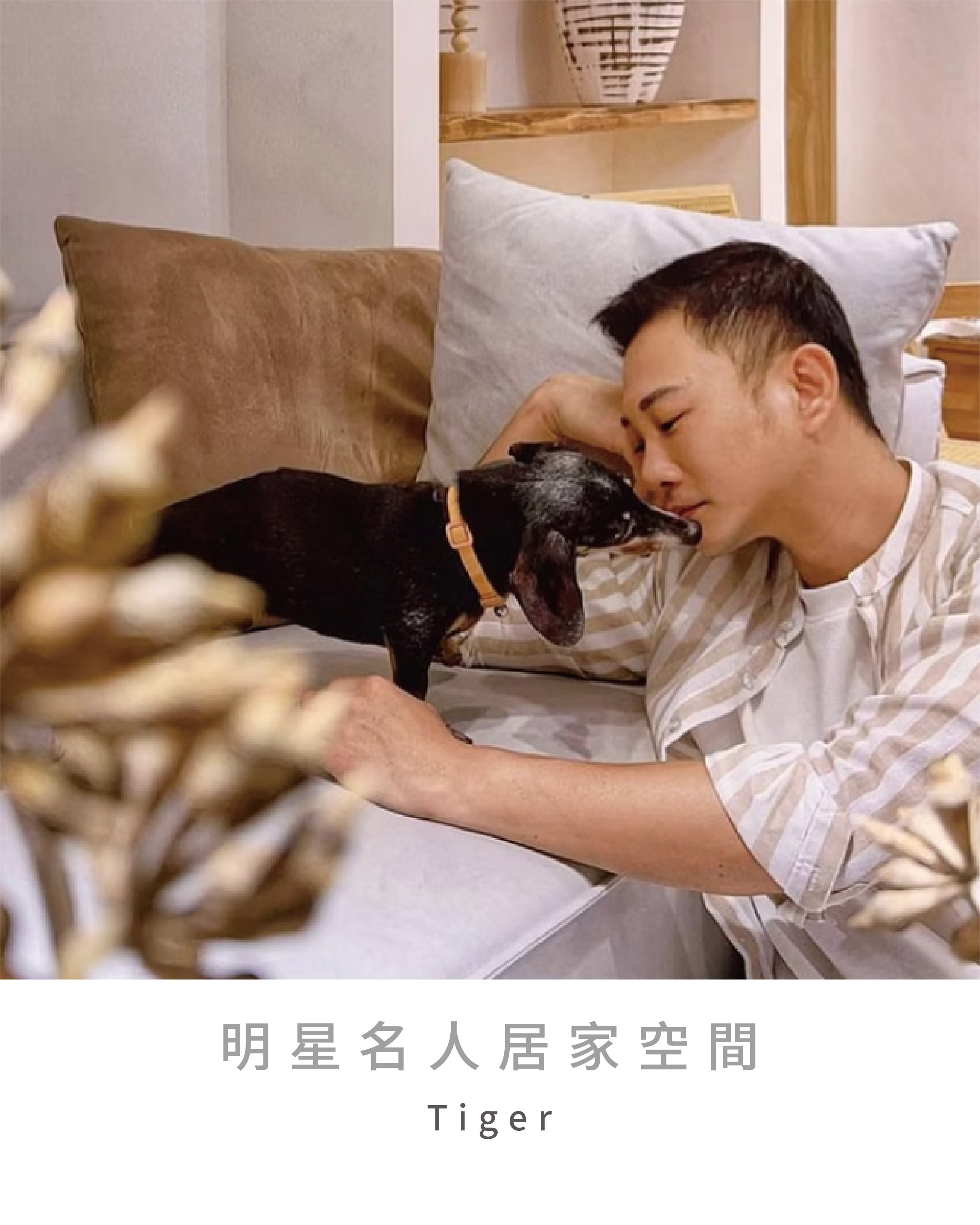 官網分頁-總標題頁-53