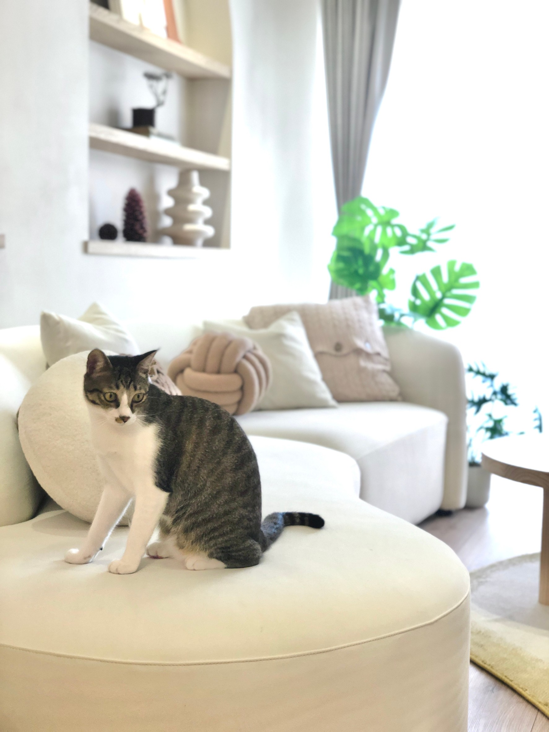 LINE_ALBUM_20221115_221115_4