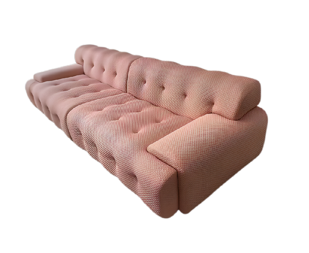 BNS-removebg-preview (1)