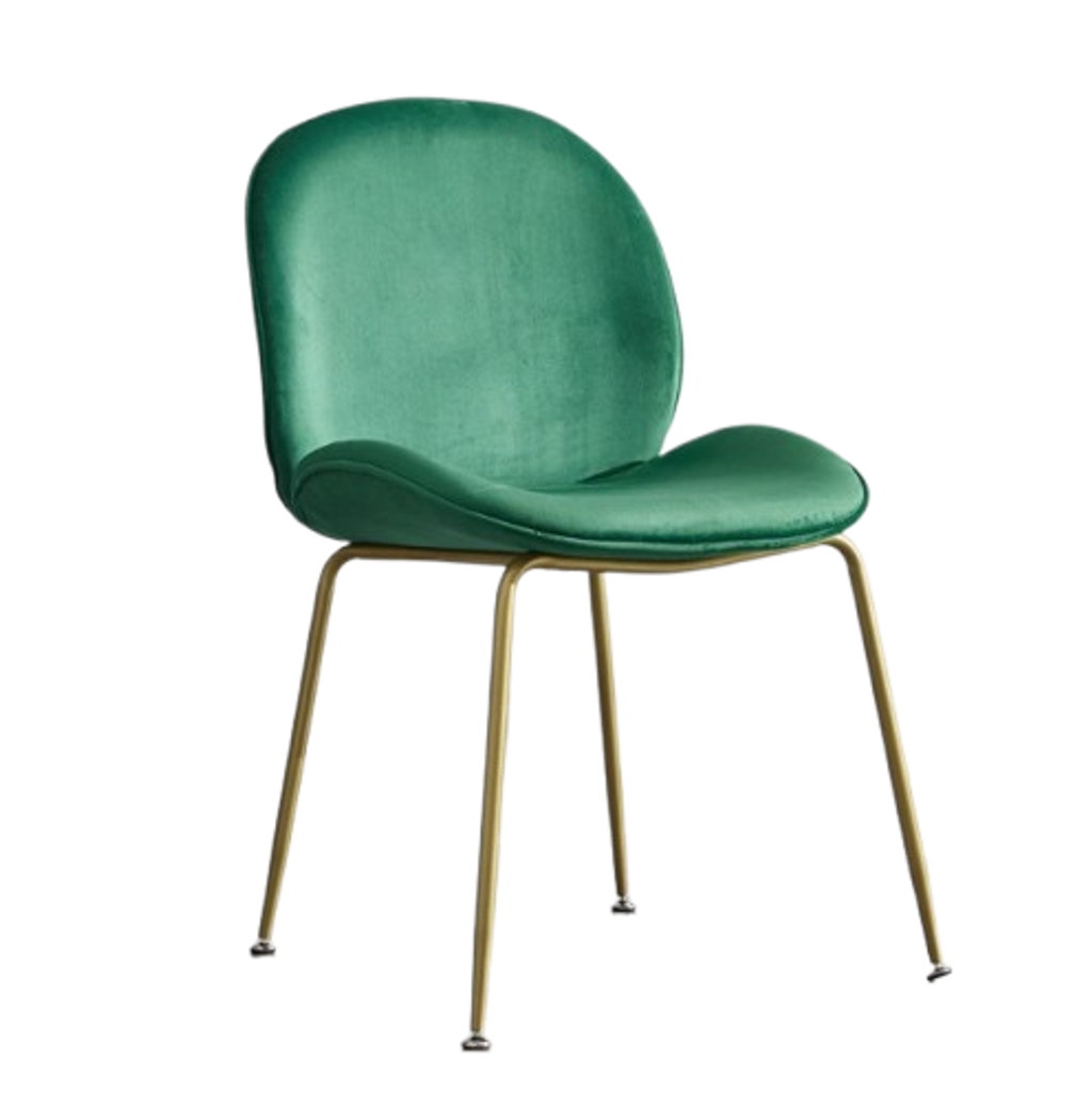 1-removebg-preview (1)