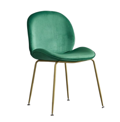 1-removebg-preview (1)