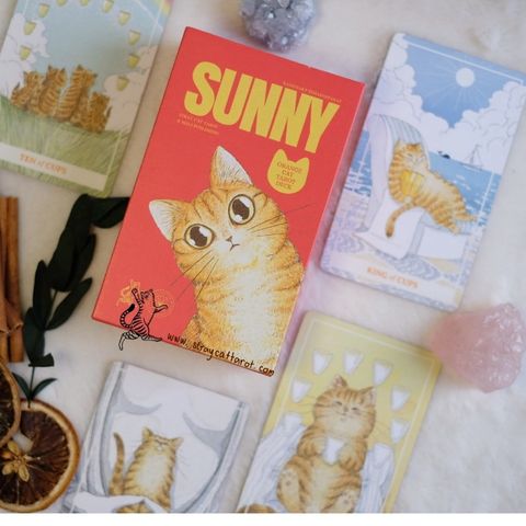 tw-11134207-820l7-mlxckmgypber2d