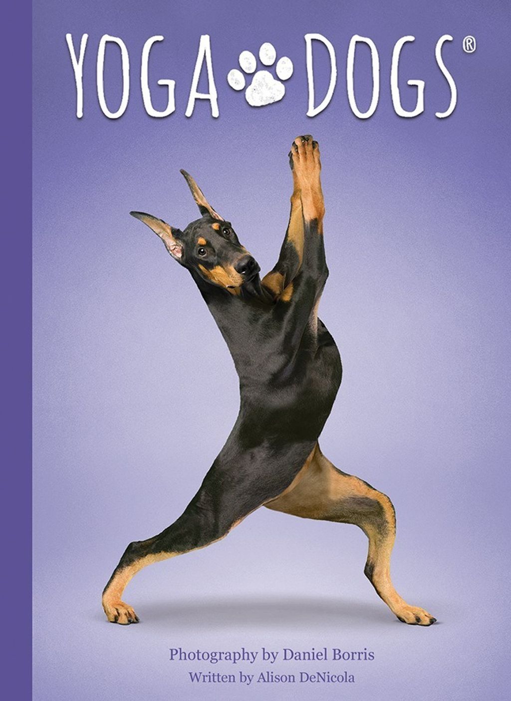 狗狗瑜伽卡（書卡套組）：Yoga Dogs Deck & Book Set2.jpg