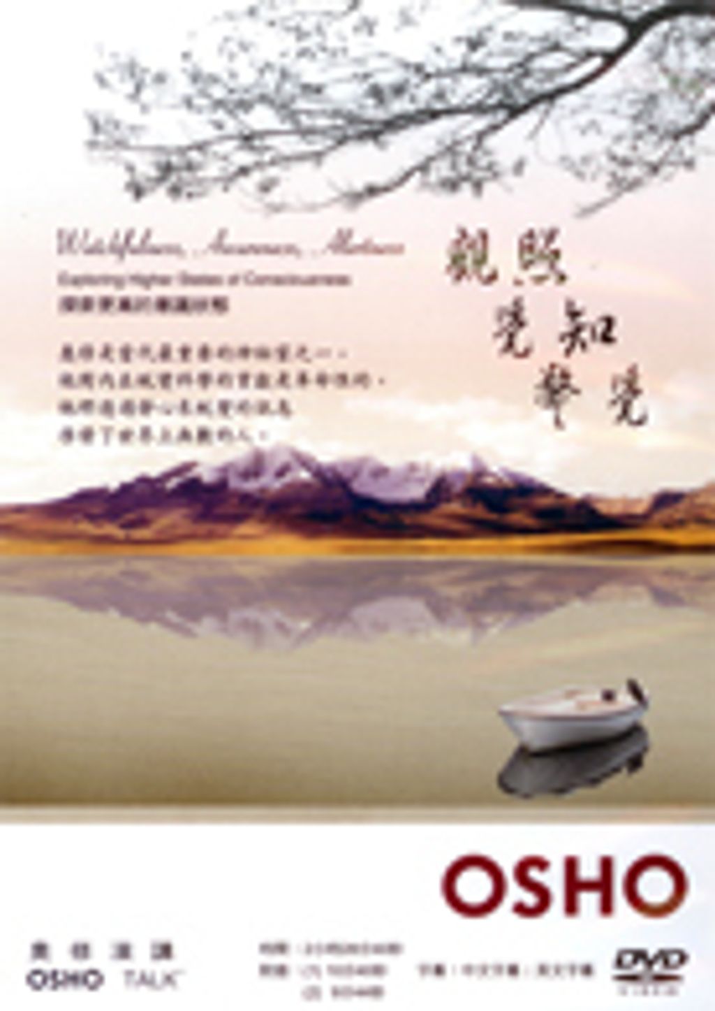 觀照,覺知,警覺DVD.jpg