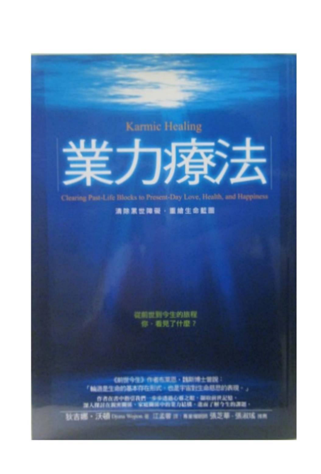 業力療法1.jpg