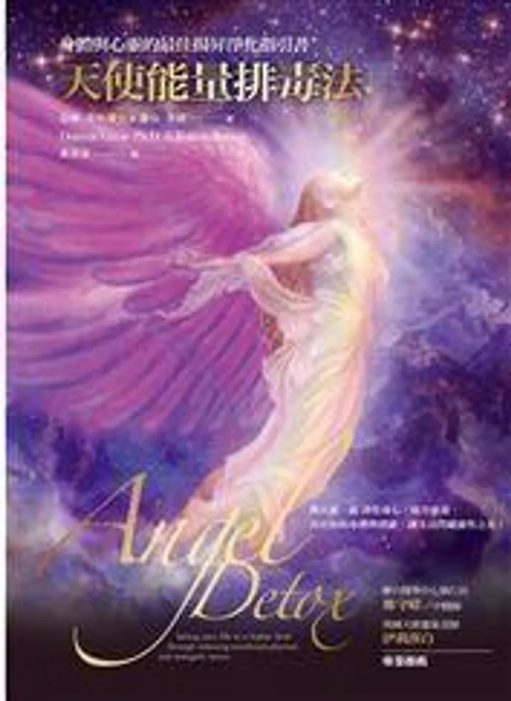 天使能量排毒法:身體與心靈的最佳揚昇淨化指引書.jpg
