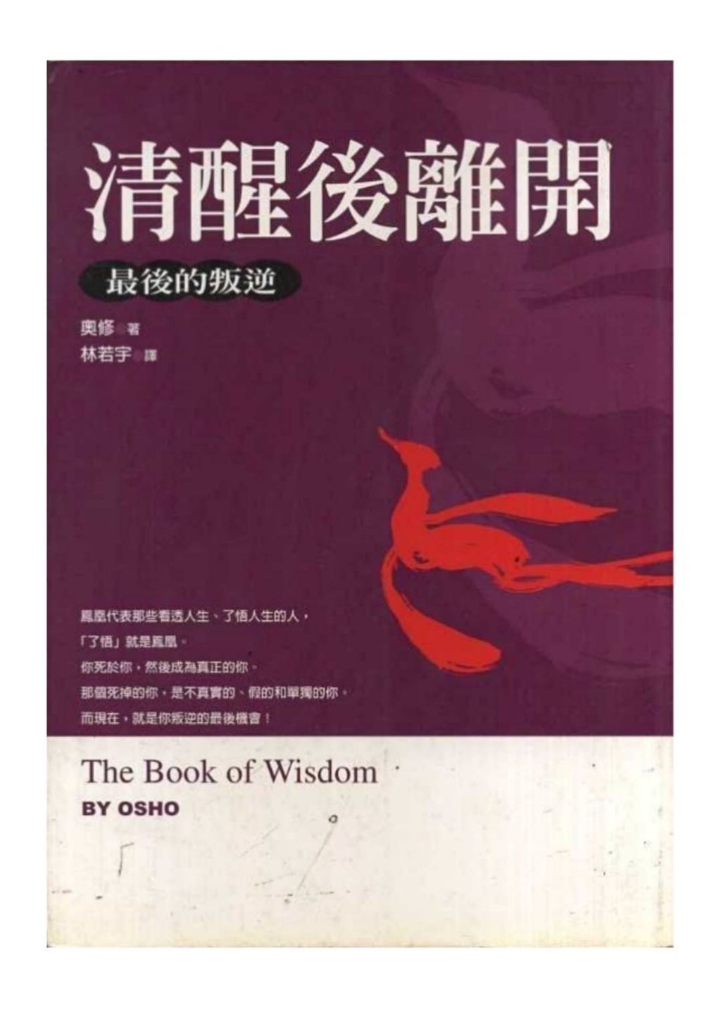 清醒後離開:最後的叛逆.jpg