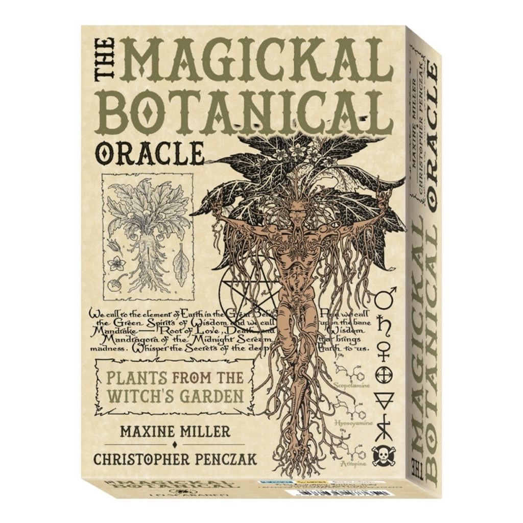 sg-11134201-22110-2wbhkc2dypjv15