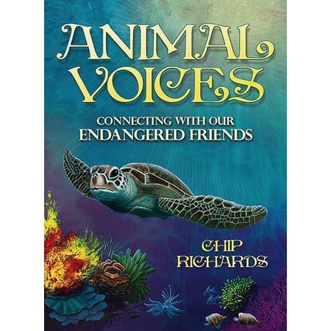 4460456ae12d33105d797a6151208e07