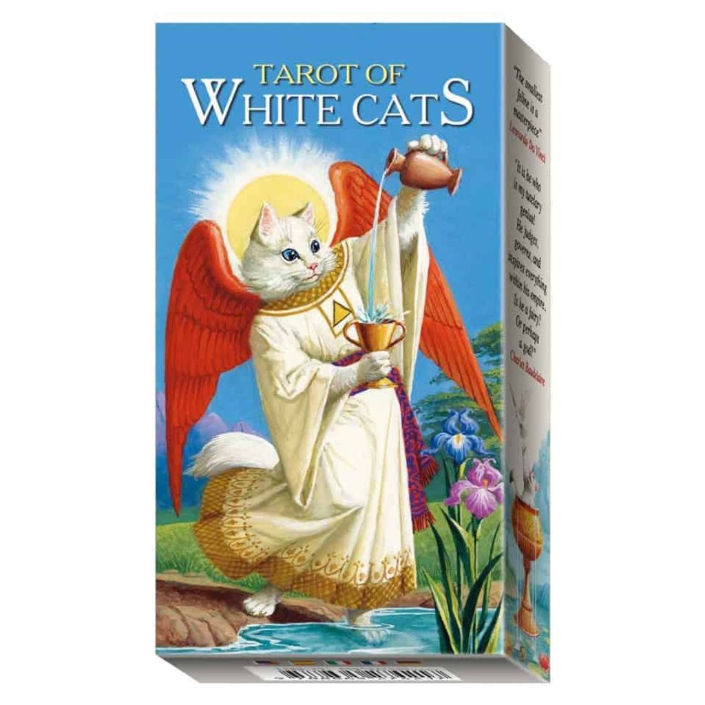 tw-11134207-7ra0i-mdlnjhz5q687aa