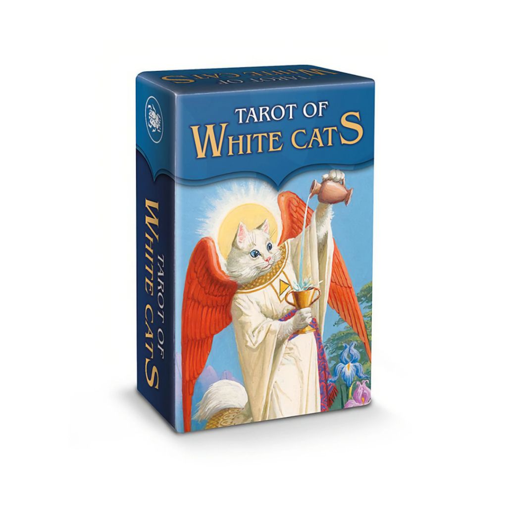 tw-11134207-7ra0l-mdlnkg9bipk72b