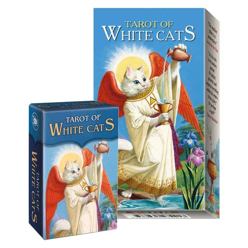 tw-11134207-7ra0k-mclrlvpoox64f5