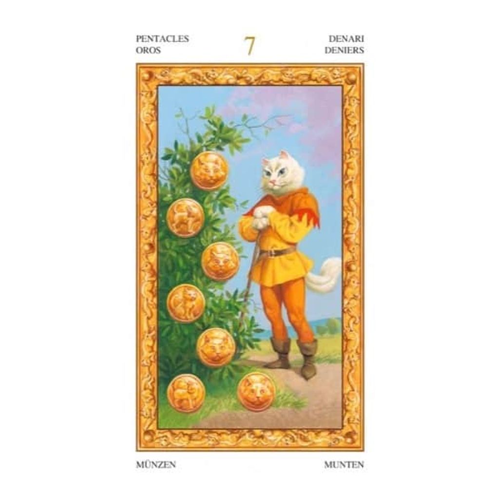 tw-11134207-7ra0q-mclrnpzbr6m71c