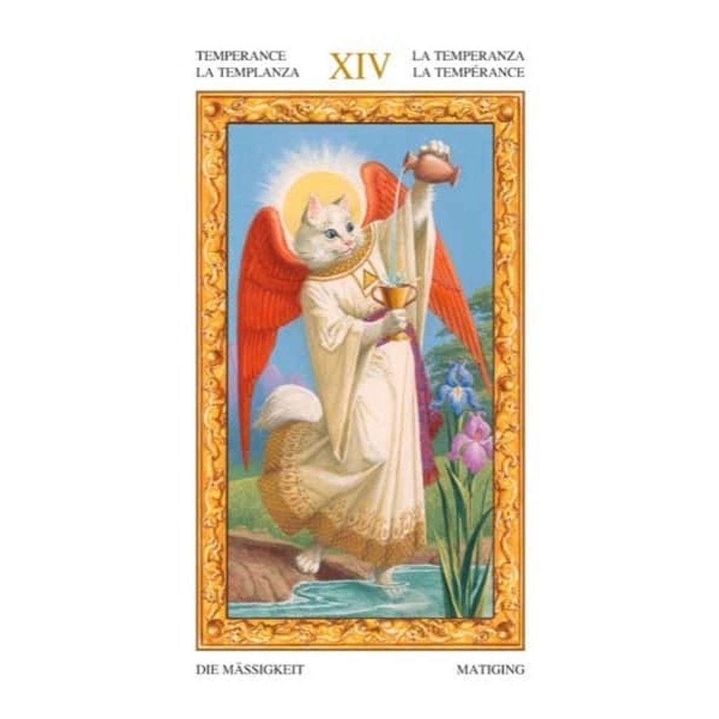 tw-11134207-7ra0l-mclrnpzlpddrb0