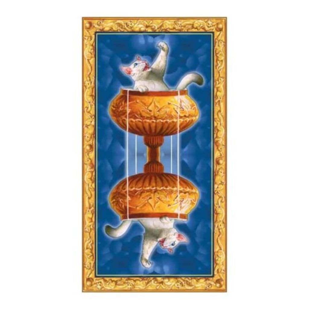 tw-11134207-7ra0u-mclrm5aup7u4af