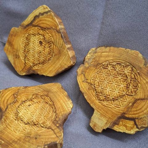 tw-11134207-81ztj-mghqhj0m81lbff