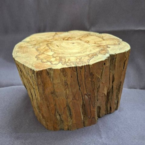 tw-11134207-81ztg-mi016udwzeh461