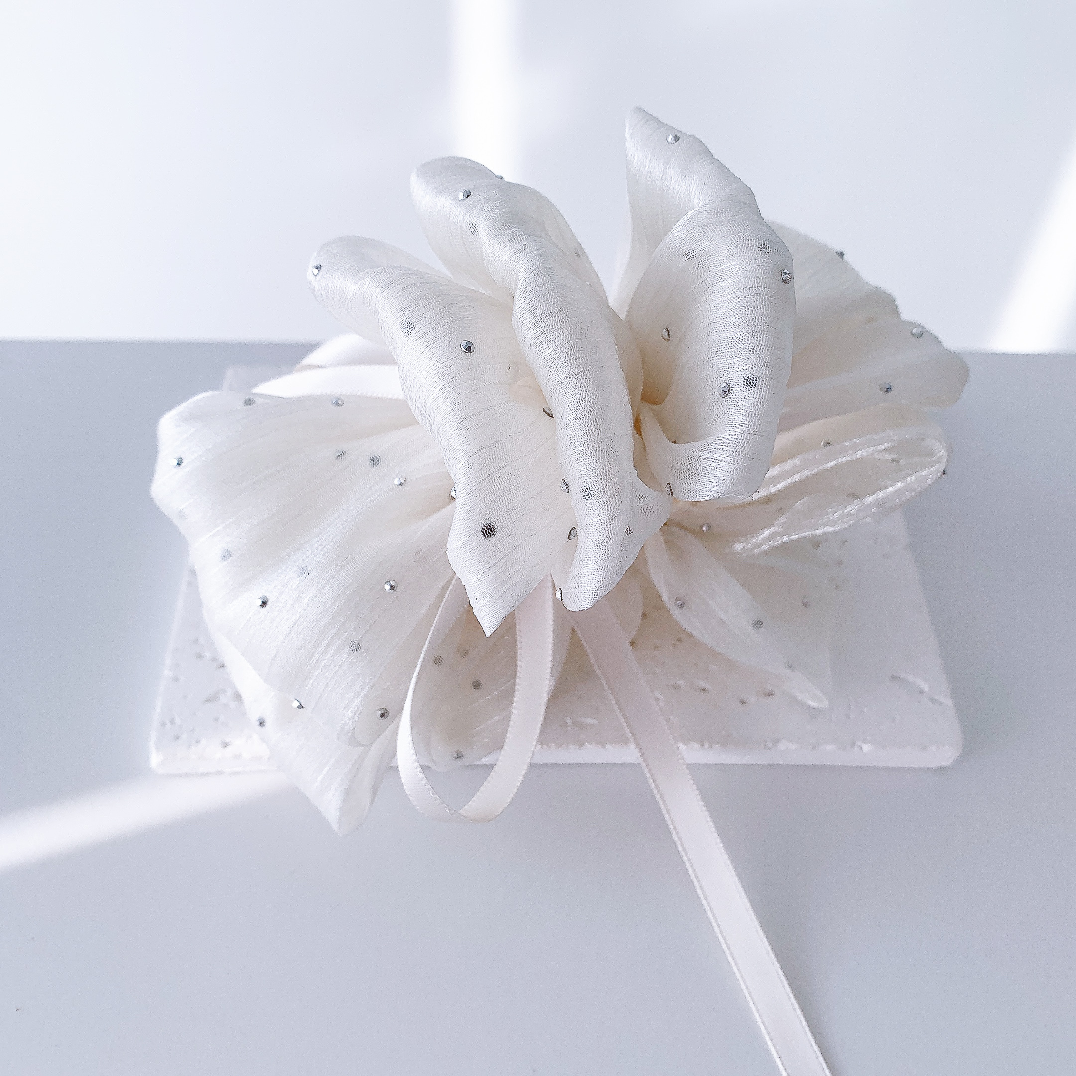 image_53584957-59C0-4845-B480-68BCF1DE9A28_1777103871