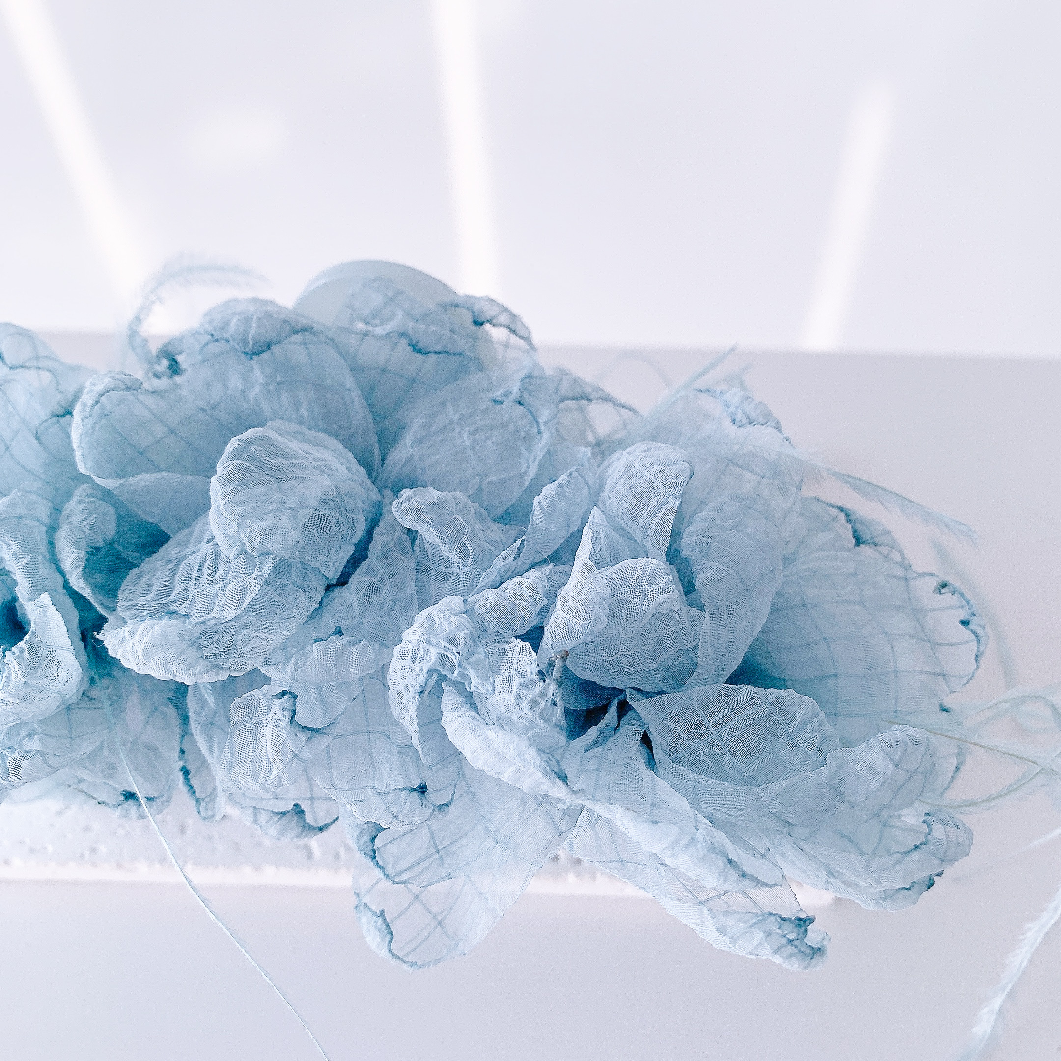 image_067A2F0C-0F36-48C8-810C-6ABD861A2F8C_1753343830