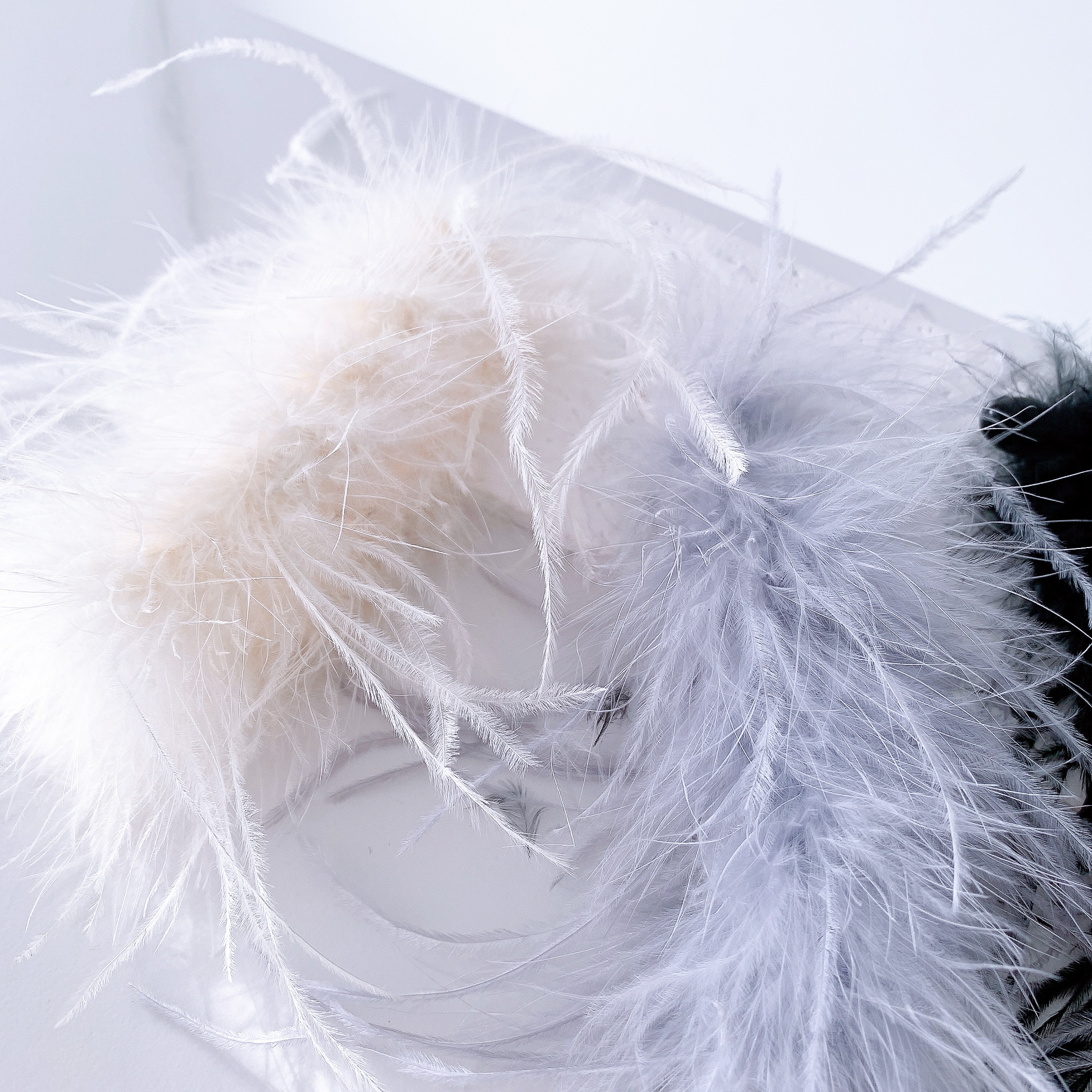 image_6302E4AC-DE4A-4EB9-A3EB-7E5D0A4483CB_1765012130