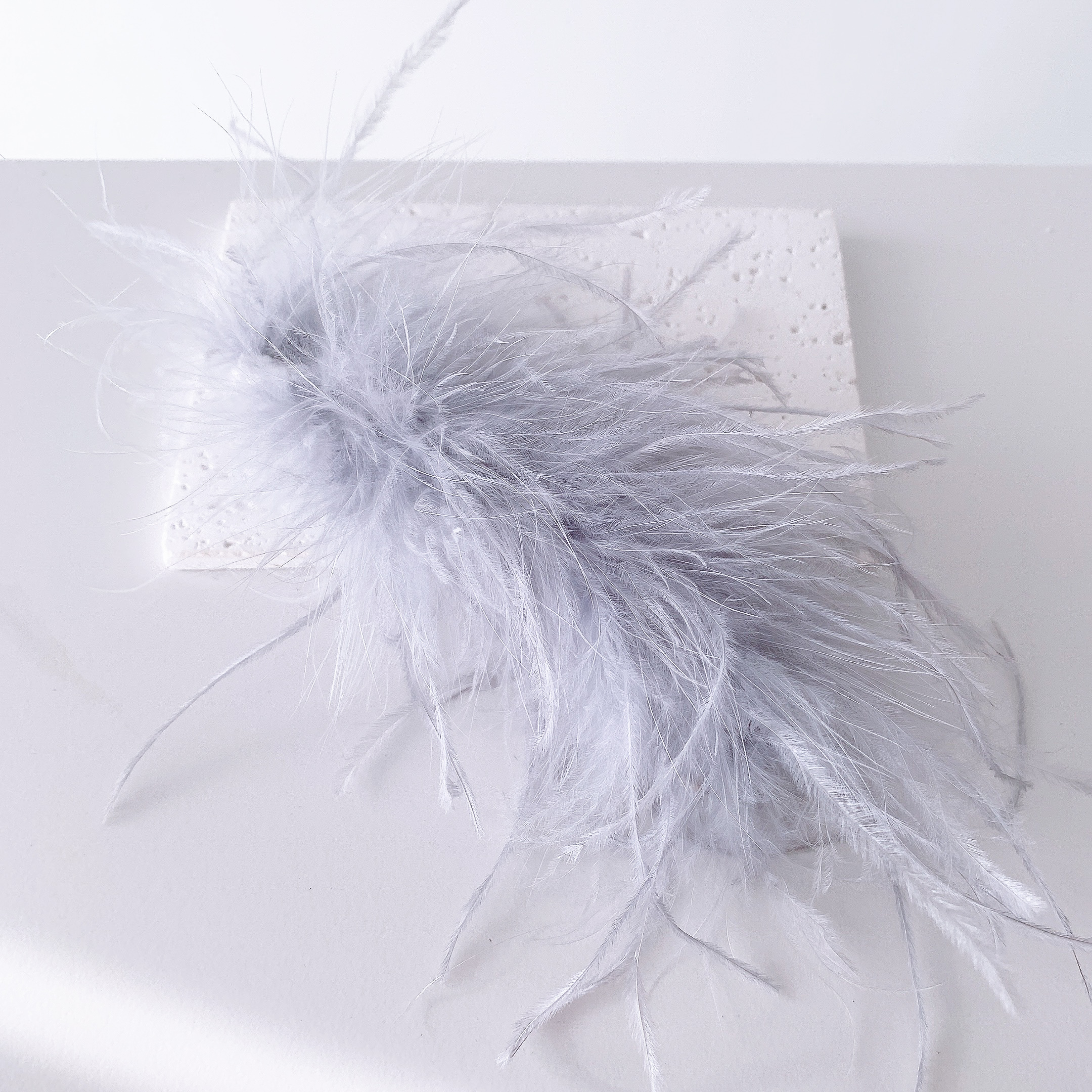 image_F6B9BCB2-EB7F-428E-BE84-E48245895D54_1765012130