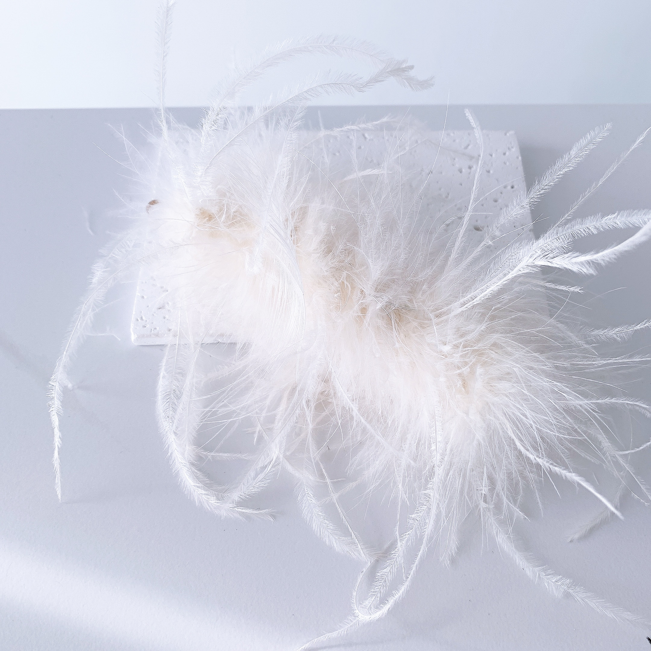 image_3476A3BC-C080-48A5-8A27-8527E38ED866_1765012130