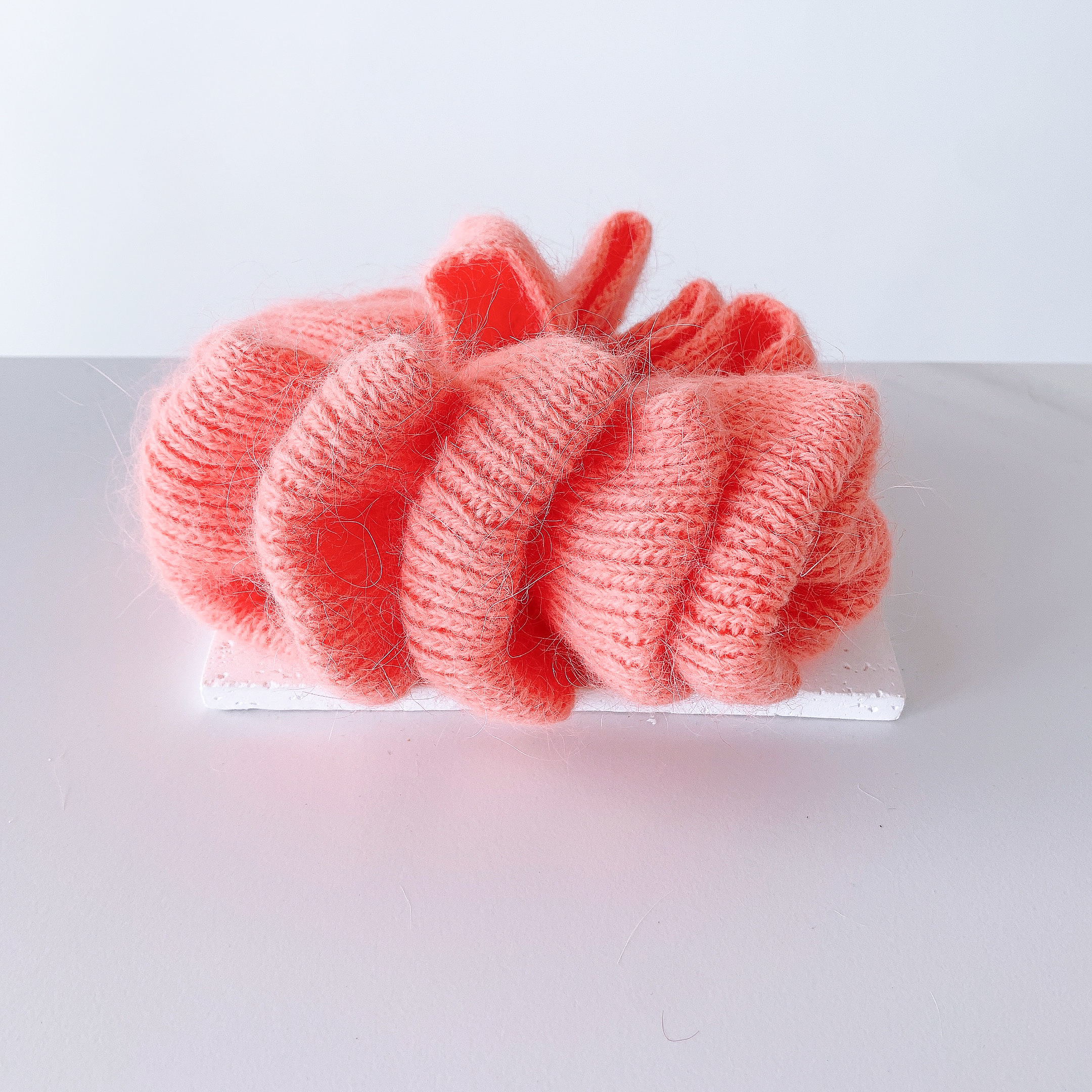 image_5D540E4A-19ED-41B8-87EB-EBD406C77BF4_1766211868