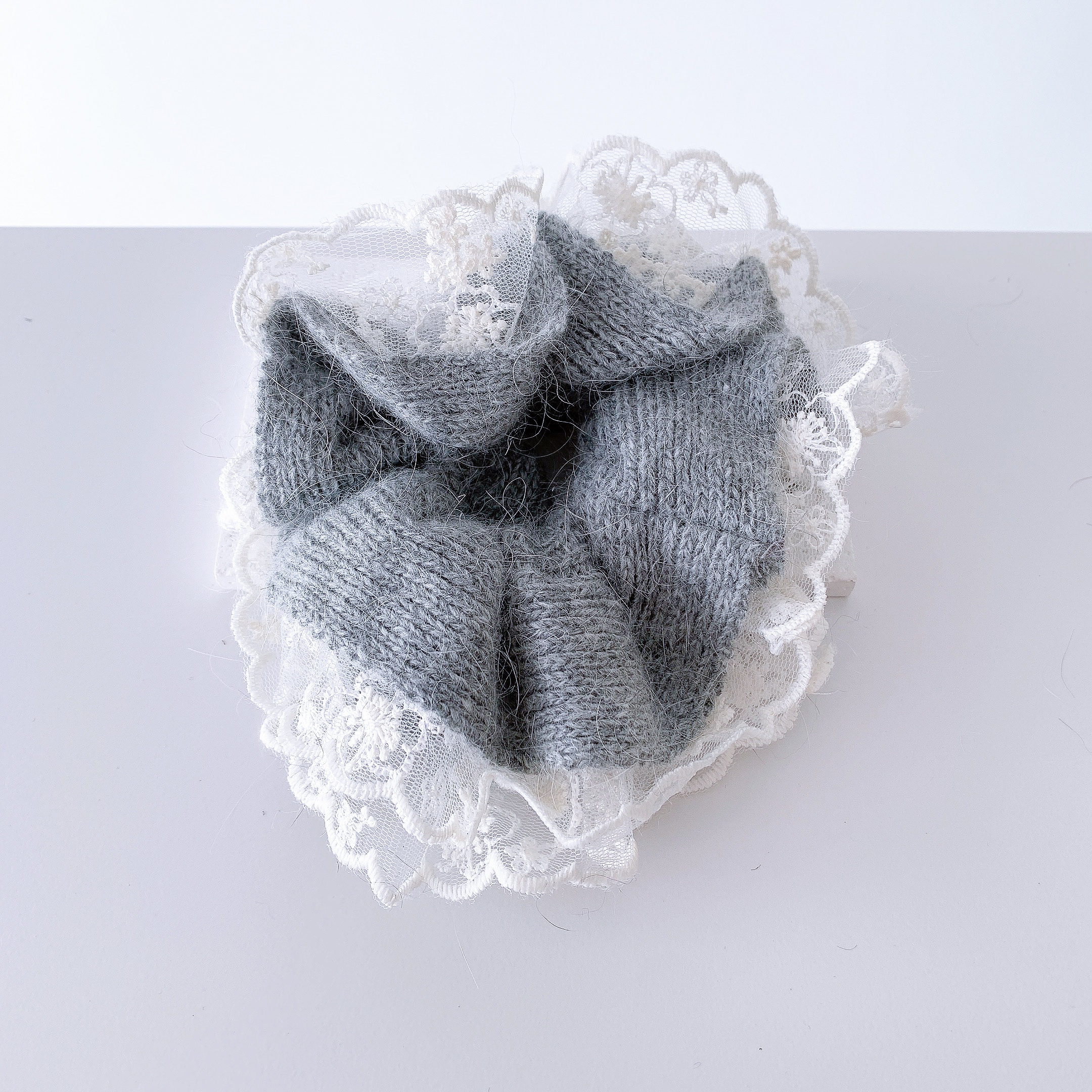 image_7589DDCC-B789-4684-9063-EDE9BA761AFC_1767082886