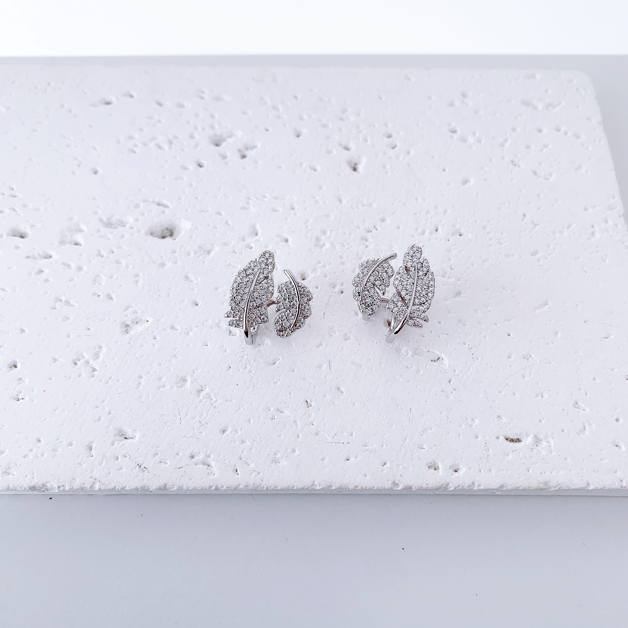 image_A29BDC04-A1BA-4ADC-A968-7FAD766E99F0_1767422608