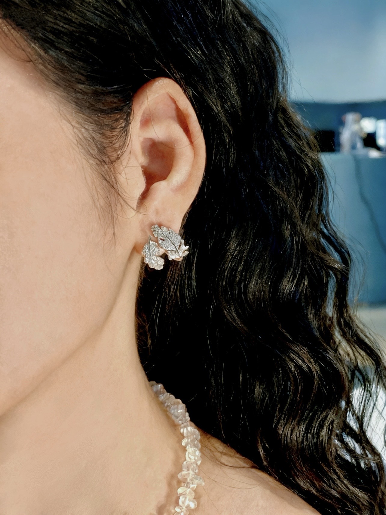 image_A1DAB491-74BE-4082-A841-2D65548A598E_1767422710