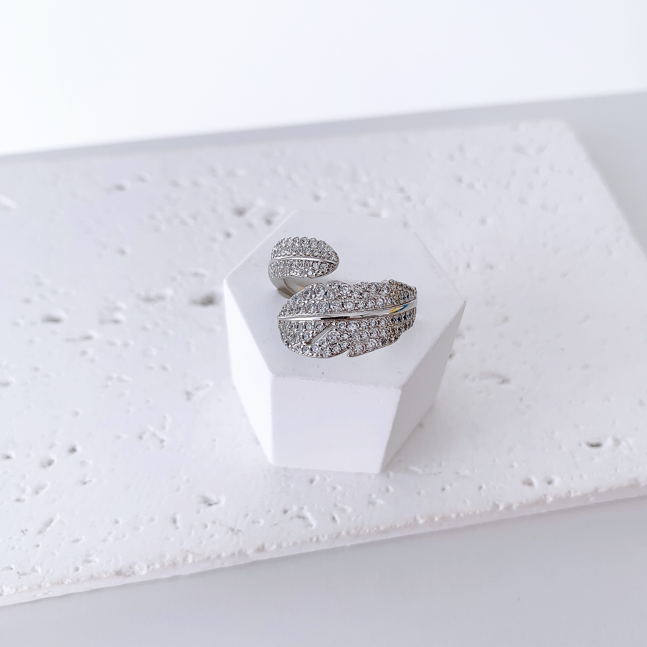 image_DD886C4A-DAA7-4C4F-A369-13BB94A2CC75_1767423086