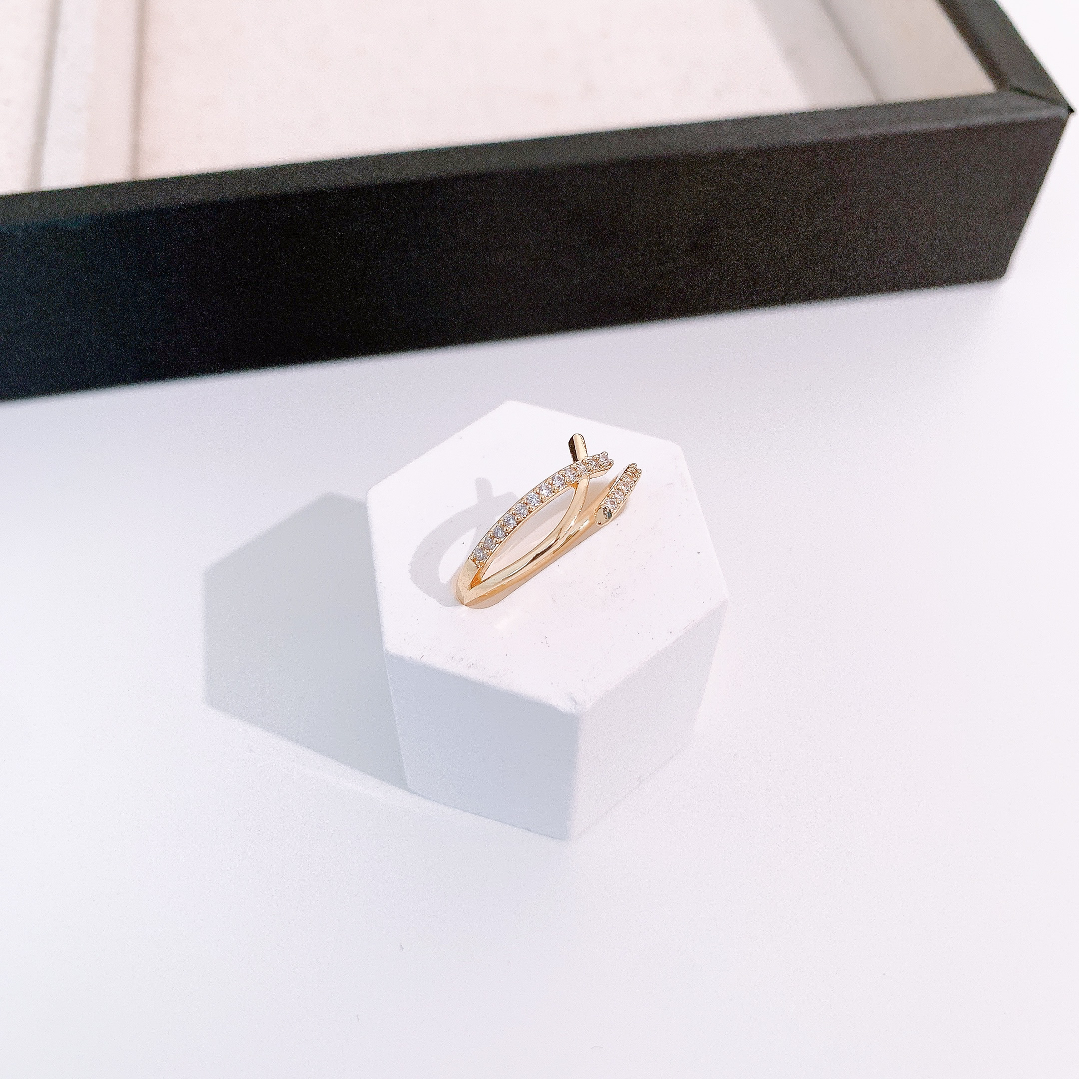 image_5D1249CF-9EA7-43D0-ACC6-BD9A5390FA9C_1769850963