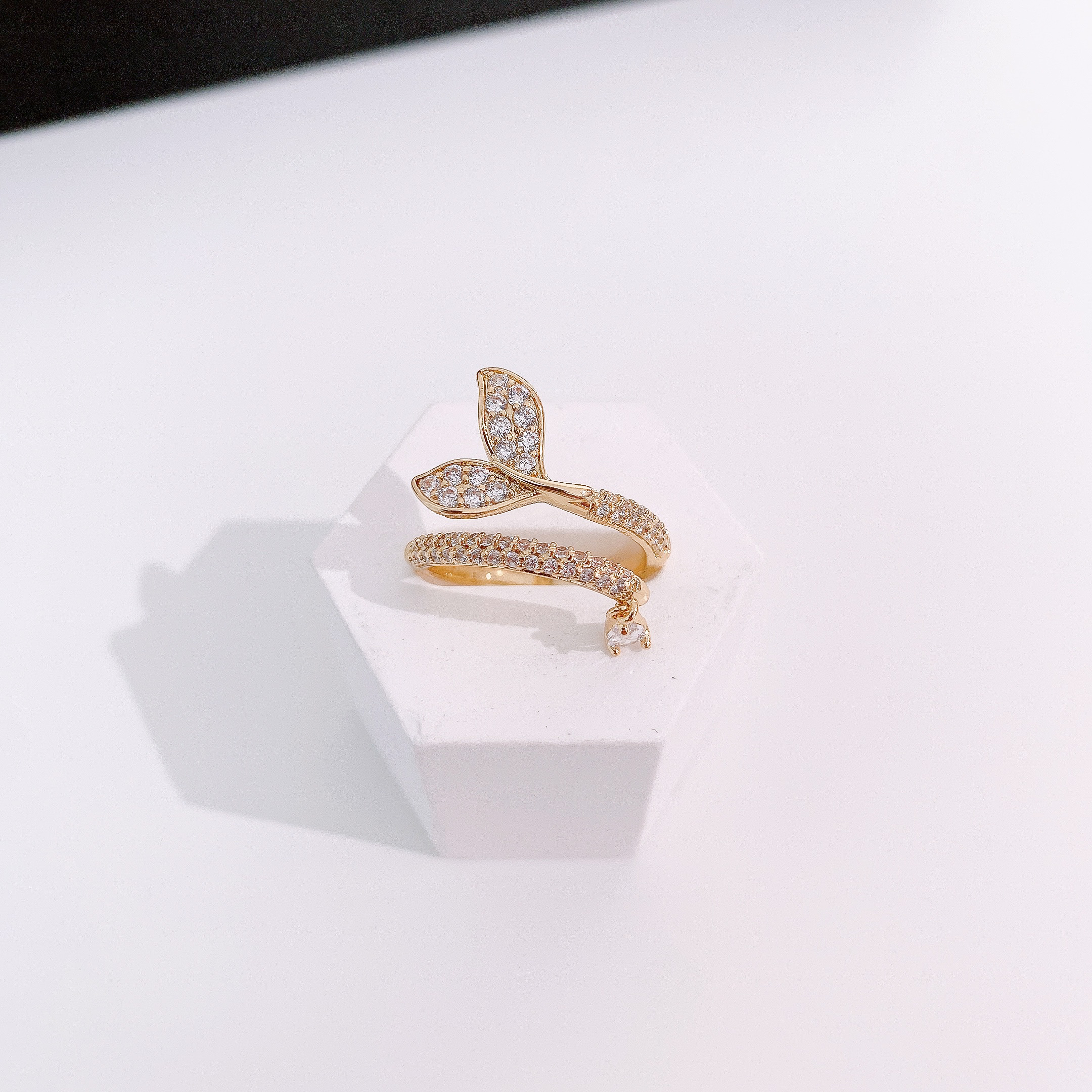 image_89C953A8-3266-4389-B161-A55C8DE0333A_1769851374