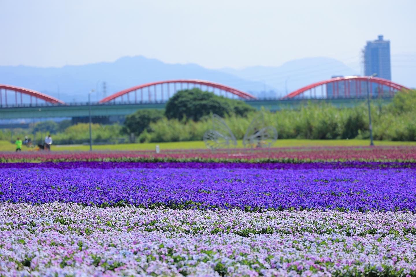 花海