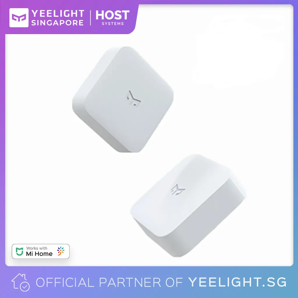 A.S1 Mesh.png