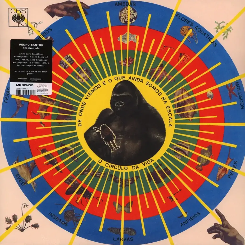 2-pedro-santos-krishnanda