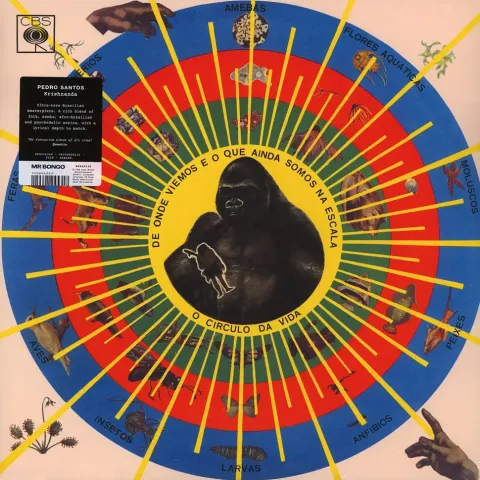 2-pedro-santos-krishnanda